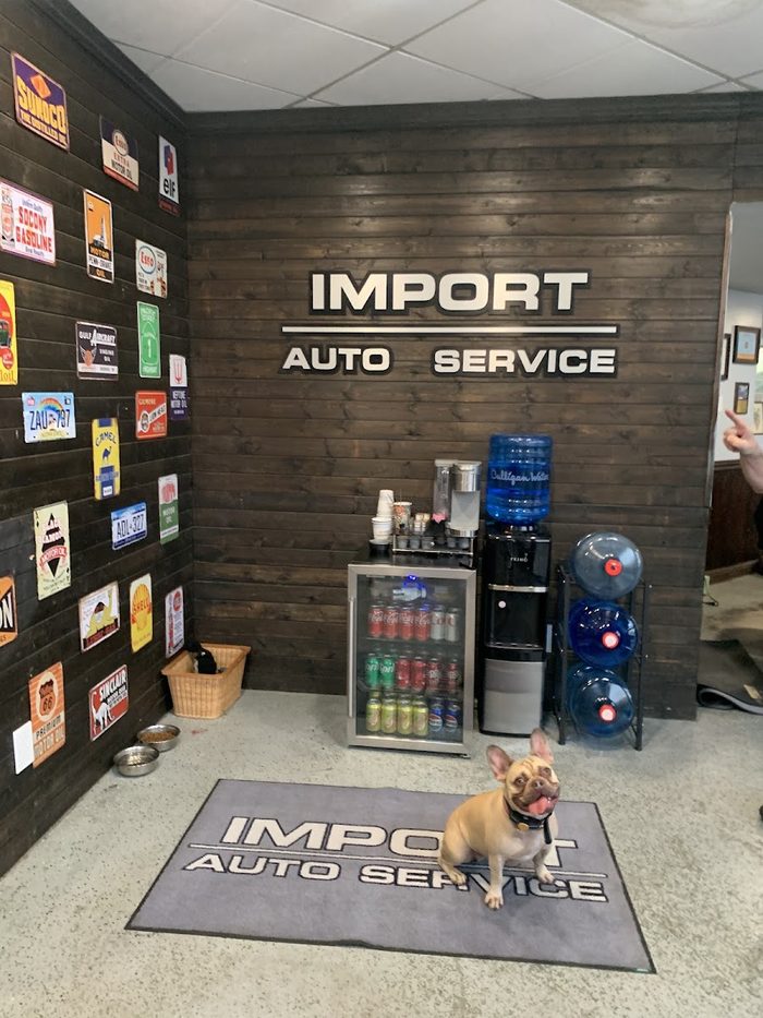 The shop dog by our wall sign